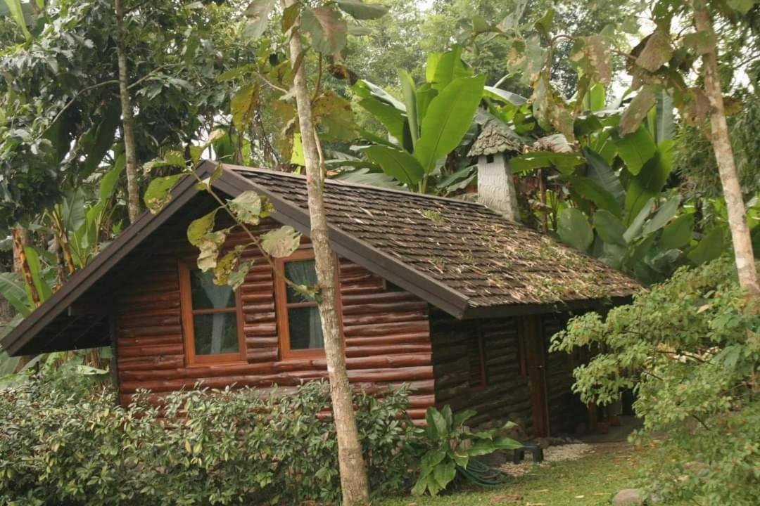 Yang Tone Farm Stay Chiang Dao Exterior photo