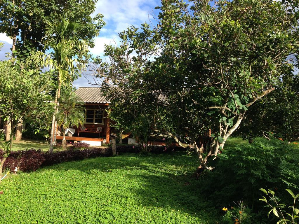 Yang Tone Farm Stay Chiang Dao Room photo