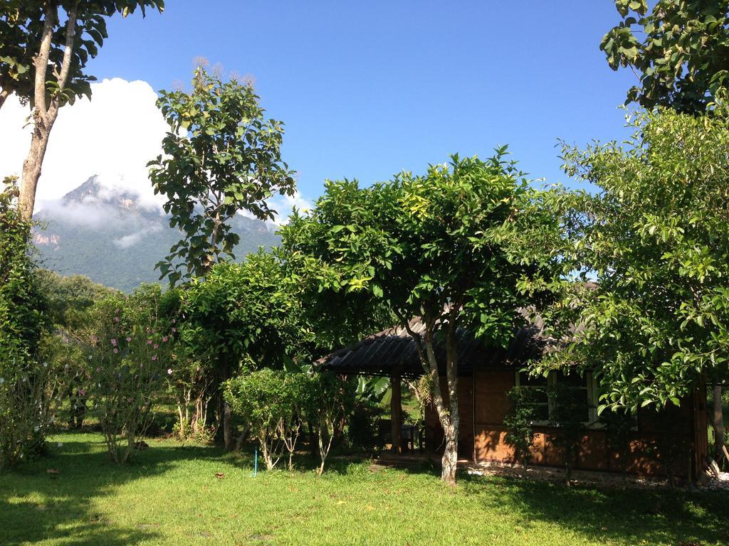 Yang Tone Farm Stay Chiang Dao Room photo
