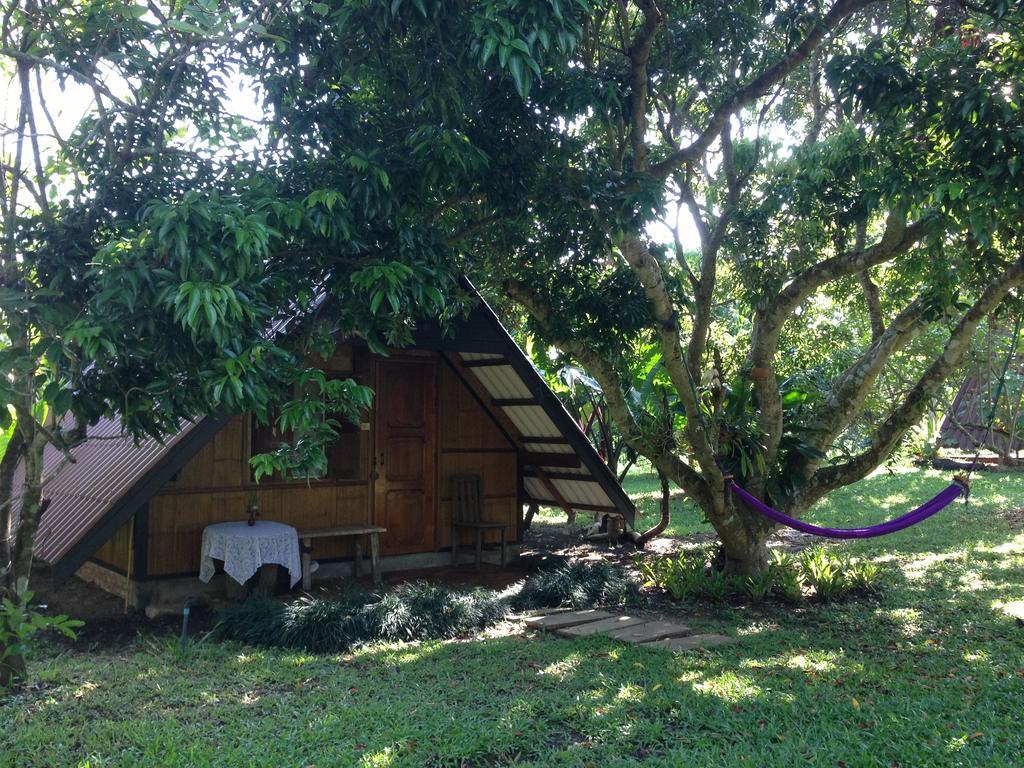 Yang Tone Farm Stay Chiang Dao Room photo