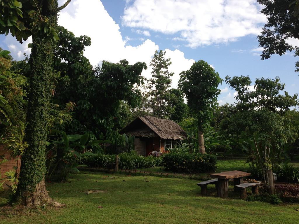 Yang Tone Farm Stay Chiang Dao Room photo