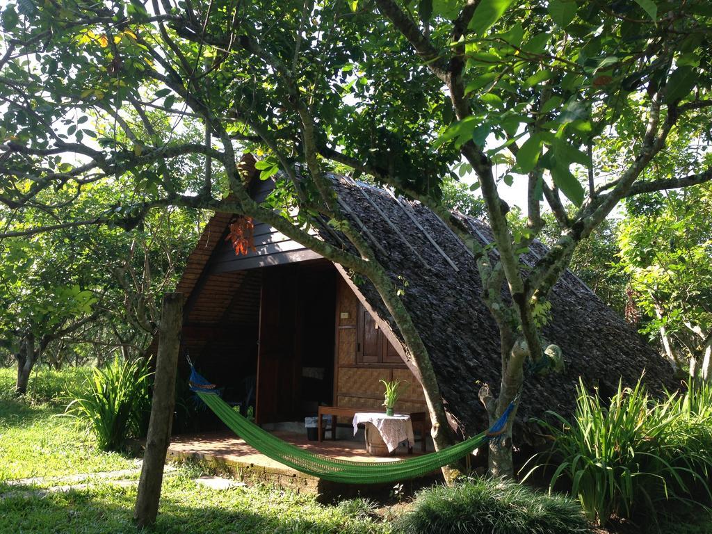Yang Tone Farm Stay Chiang Dao Room photo