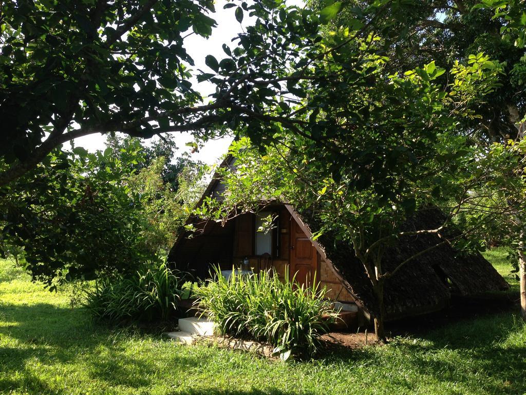 Yang Tone Farm Stay Chiang Dao Room photo
